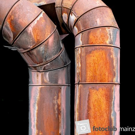 2024 Jutta Wirthl &quot;Tubes in Love&quot;